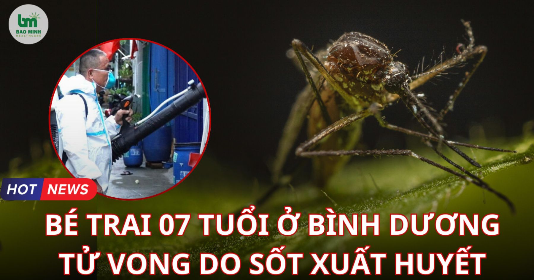 Tử vong do sốt xuất huyết