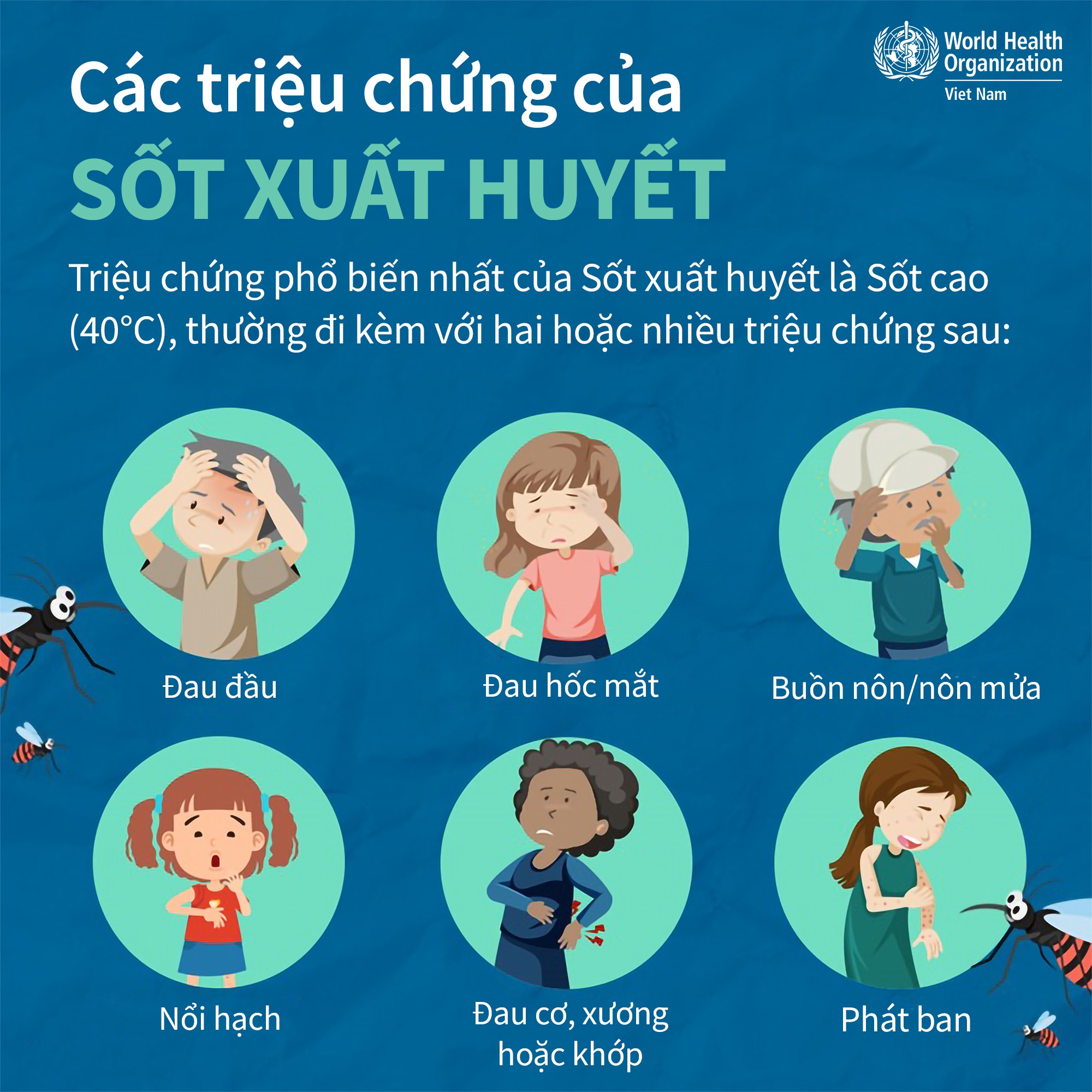 Các thuộc tính sốt xuất huyết